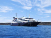 Silver Galapagos Silver Galapagos